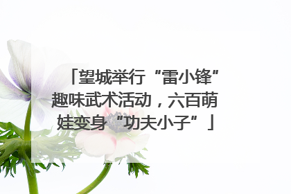 望城举行“雷小锋”趣味武术活动，六百萌娃变身“功夫小子”