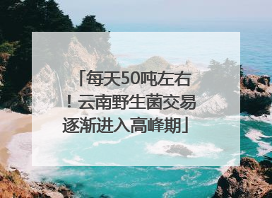 每天50吨左右！云南野生菌交易逐渐进入高峰期