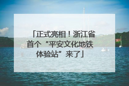 正式亮相！浙江省首个“平安文化地铁体验站”来了