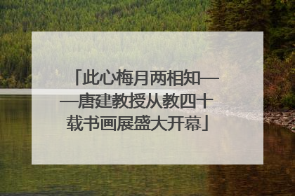 此心梅月两相知——唐建教授从教四十载书画展盛大开幕