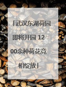 武汉东湖荷园即将开园 1200余种荷花竞相绽放