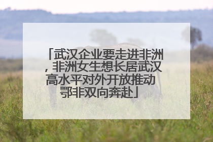 武汉企业要走进非洲，非洲女生想长居武汉 高水平对外开放推动鄂非双向奔赴