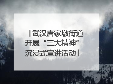 武汉唐家墩街道开展“三大精神”沉浸式宣讲活动