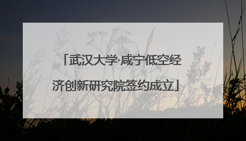 武汉大学·咸宁低空经济创新研究院签约成立