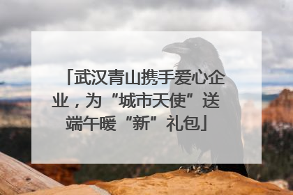 武汉青山携手爱心企业，为“城市天使”送端午暖“新”礼包