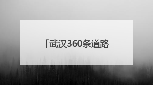 武汉360条道路上都有了！能救命