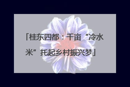 桂东四都：千亩“冷水米”托起乡村振兴梦