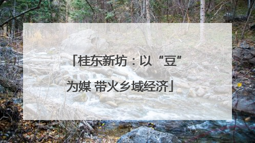 桂东新坊：以“豆”为媒 带火乡域经济