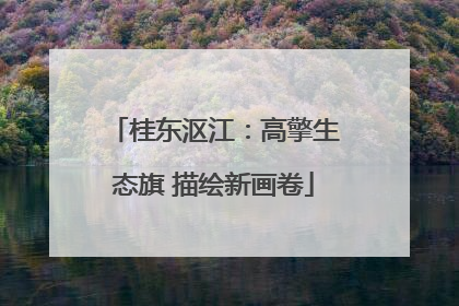桂东沤江：高擎生态旗 描绘新画卷