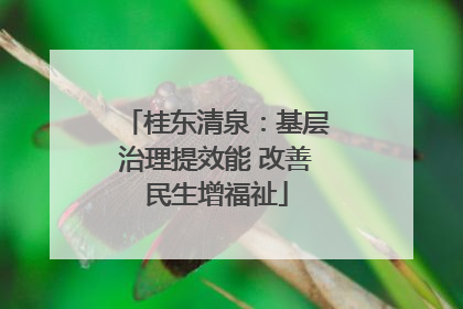 桂东清泉：基层治理提效能 改善民生增福祉