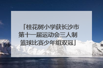 桂花树小学获长沙市第十一届运动会三人制篮球比赛少年组双冠