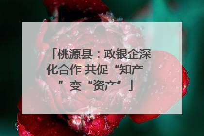桃源县：政银企深化合作 共促“知产”变“资产”