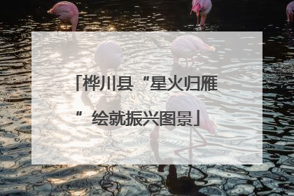 桦川县“星火归雁”绘就振兴图景