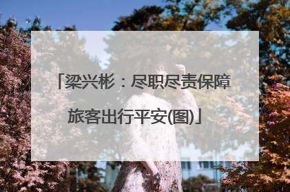 梁兴彬：尽职尽责保障旅客出行平安(图)