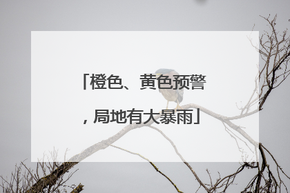 橙色、黄色预警，局地有大暴雨