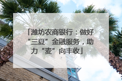 潍坊农商银行：做好“三夏”金融服务，助力“麦”向丰收