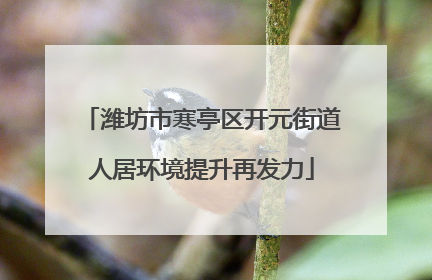潍坊市寒亭区开元街道人居环境提升再发力