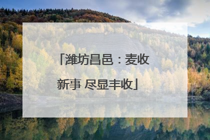 潍坊昌邑：麦收新事 尽显丰收