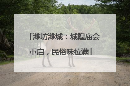 潍坊潍城：城隍庙会重启，民俗味拉满