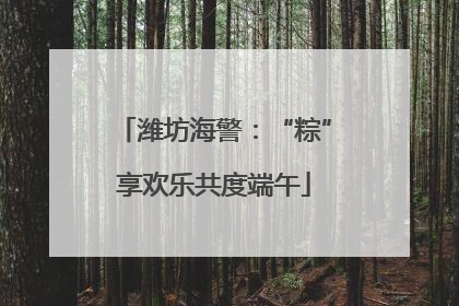 潍坊海警：“粽”享欢乐共度端午