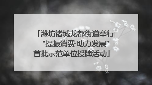 潍坊诸城龙都街道举行“提振消费·助力发展”首批示范单位授牌活动