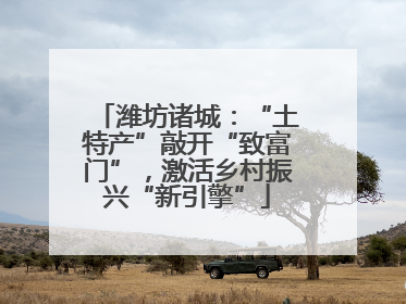 潍坊诸城：“土特产”敲开“致富门”，激活乡村振兴“新引擎”