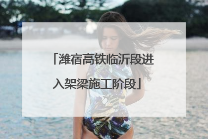 潍宿高铁临沂段进入架梁施工阶段