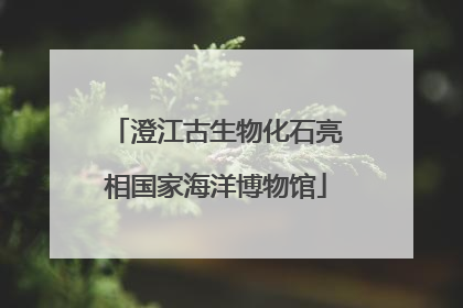 澄江古生物化石亮相国家海洋博物馆