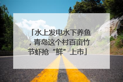 水上发电水下养鱼，青岛这个村百亩竹节虾抢“鲜”上市