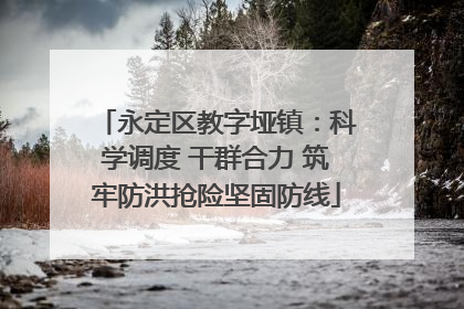 永定区教字垭镇：科学调度 干群合力 筑牢防洪抢险坚固防线