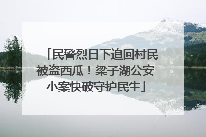 民警烈日下追回村民被盗西瓜！梁子湖公安小案快破守护民生