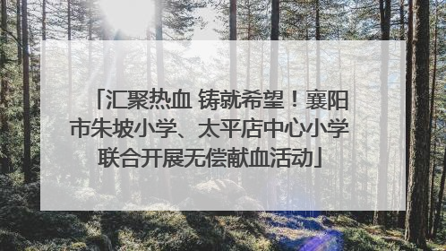 汇聚热血 铸就希望！襄阳市朱坡小学、太平店中心小学联合开展无偿献血活动