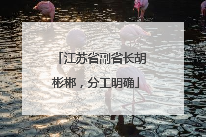 江苏省副省长胡彬郴，分工明确