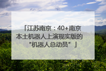 江苏南京：40+南京本土机器人上演现实版的“机器人总动员”