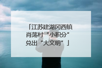 江苏建湖冈西镇肖荡村“小积分”兑出“大文明”