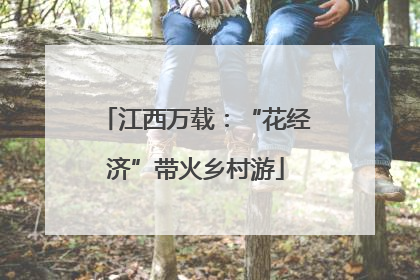 江西万载：“花经济”带火乡村游