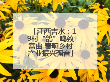 江西吉水：19村“鸽”鸣致富曲 奏响乡村产业振兴强音