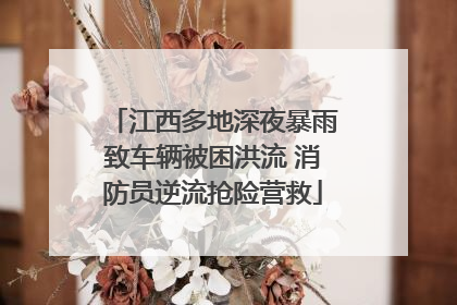 江西多地深夜暴雨致车辆被困洪流 消防员逆流抢险营救