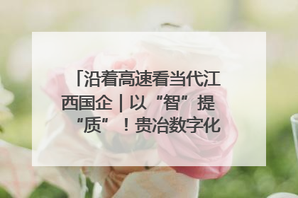 沿着高速看当代江西国企｜以“智”提“质”！贵冶数字化转型迈出新步伐