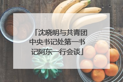 沈晓明与共青团中央书记处第一书记阿东一行会谈