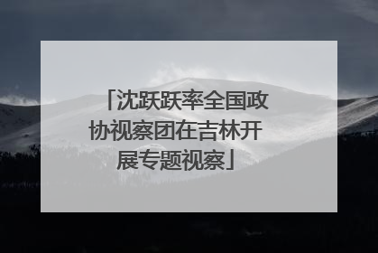 沈跃跃率全国政协视察团在吉林开展专题视察