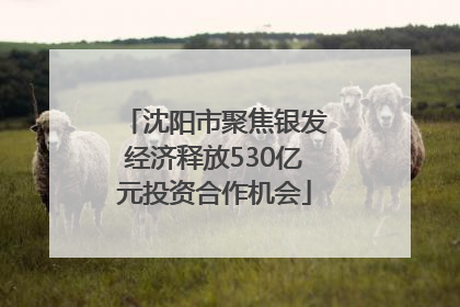沈阳市聚焦银发经济释放530亿元投资合作机会