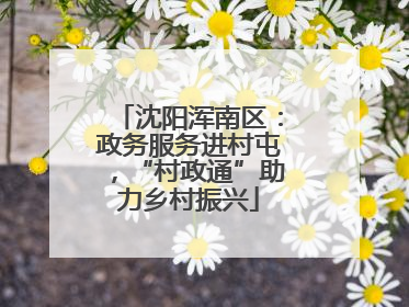 沈阳浑南区：政务服务进村屯，“村政通”助力乡村振兴