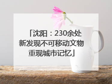 沈阳：230余处新发现不可移动文物重现城市记忆