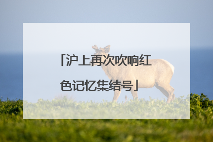 沪上再次吹响红色记忆集结号