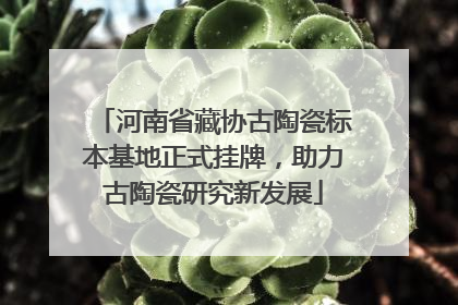 河南省藏协古陶瓷标本基地正式挂牌，助力古陶瓷研究新发展