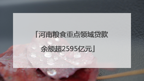 河南粮食重点领域贷款余额超2595亿元