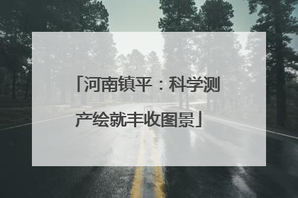 河南镇平：科学测产绘就丰收图景