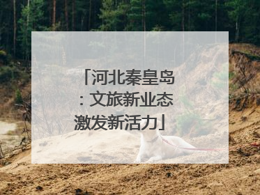 河北秦皇岛：文旅新业态激发新活力