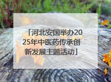 河北安国举办2025年中医药传承创新发展主题活动